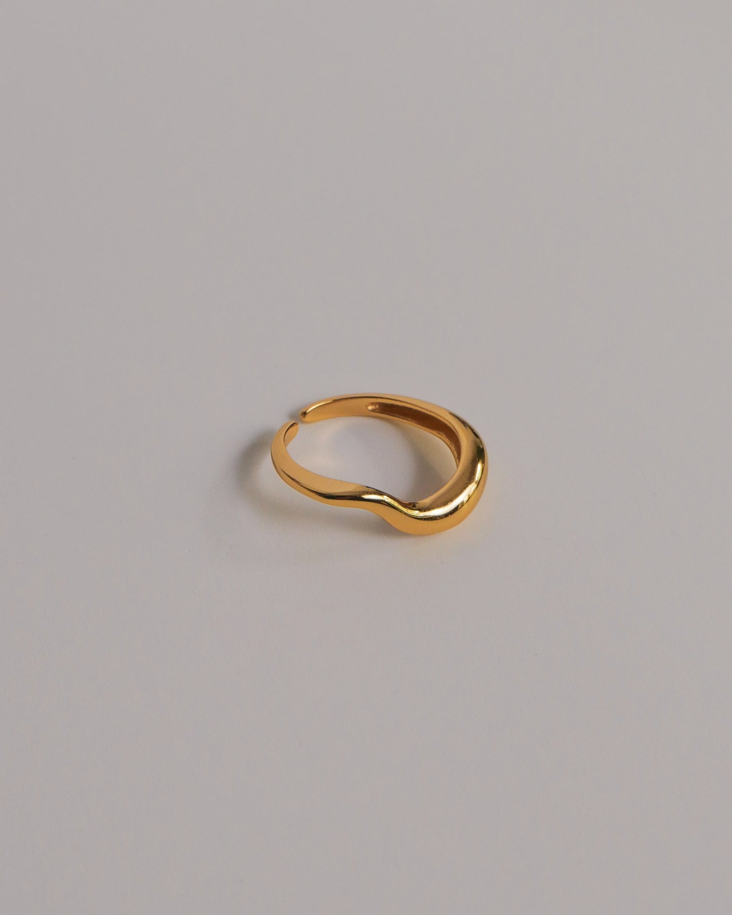 Caryn Adjustable Ring | 925 Silver / 18k Gold Plating