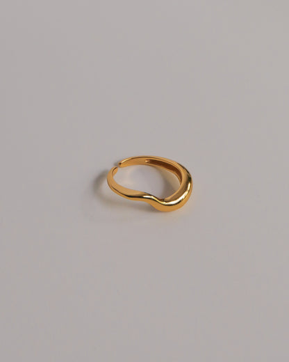 Caryn Adjustable Ring | 925 Silver / 18k Gold Plating