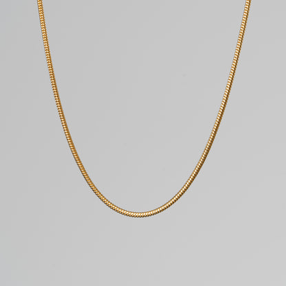 Snake Chain Necklace