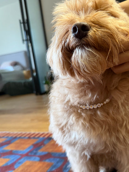 Pearls in A Pod Necklace - For Pet