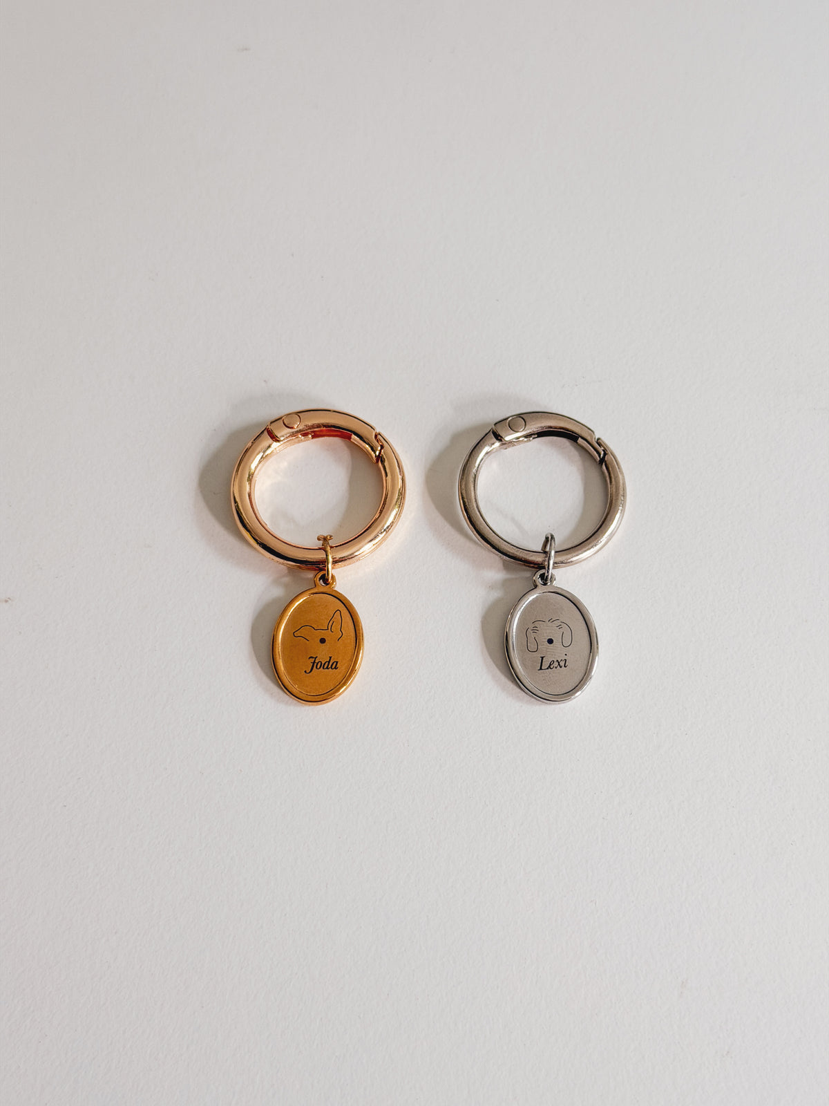Engraveable Pet Collar Tag