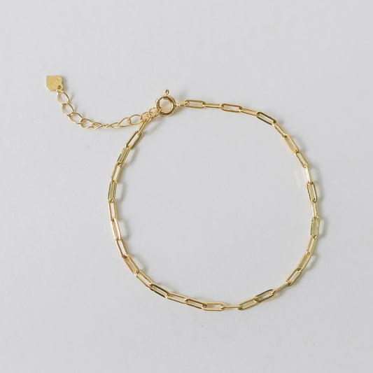 Hailey Link Bracelet (Gold)