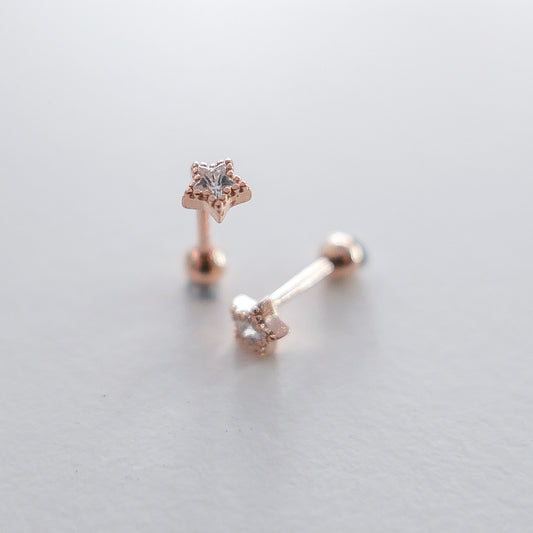 Starr Screw Back Ear Studs