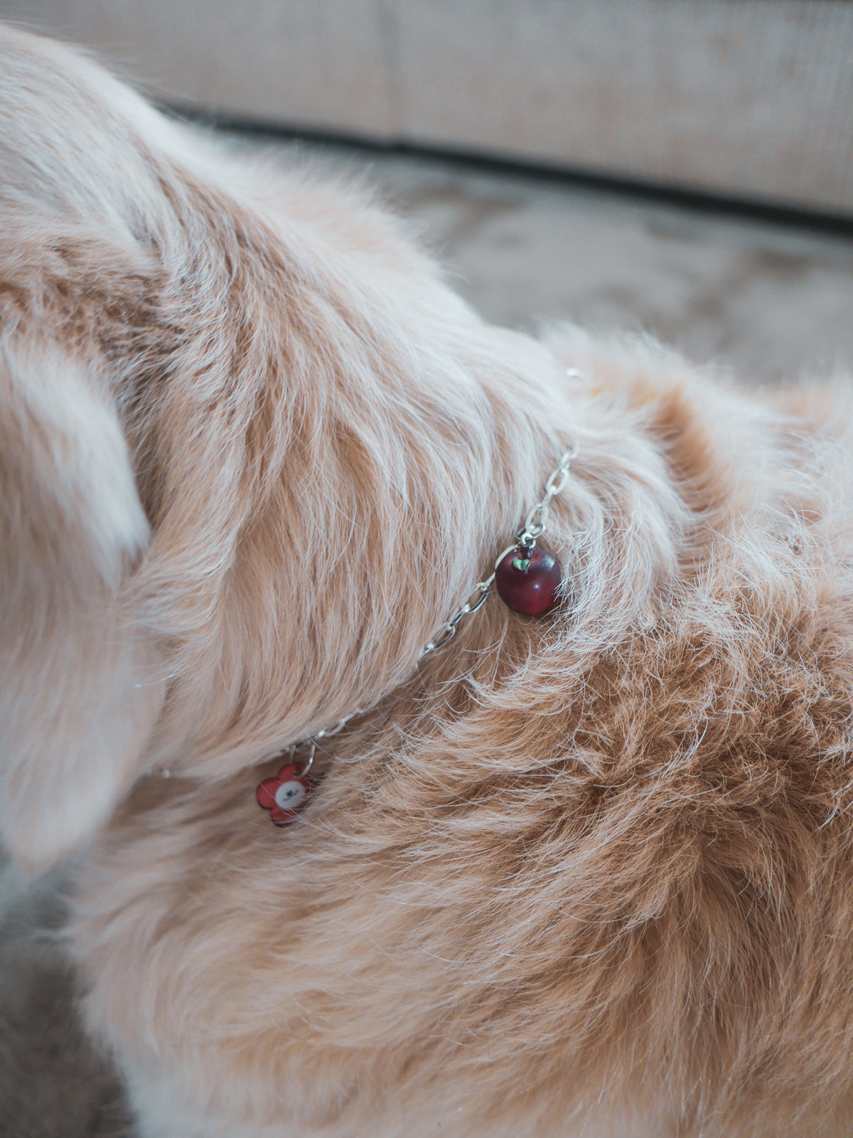 Walkies Charm Necklace