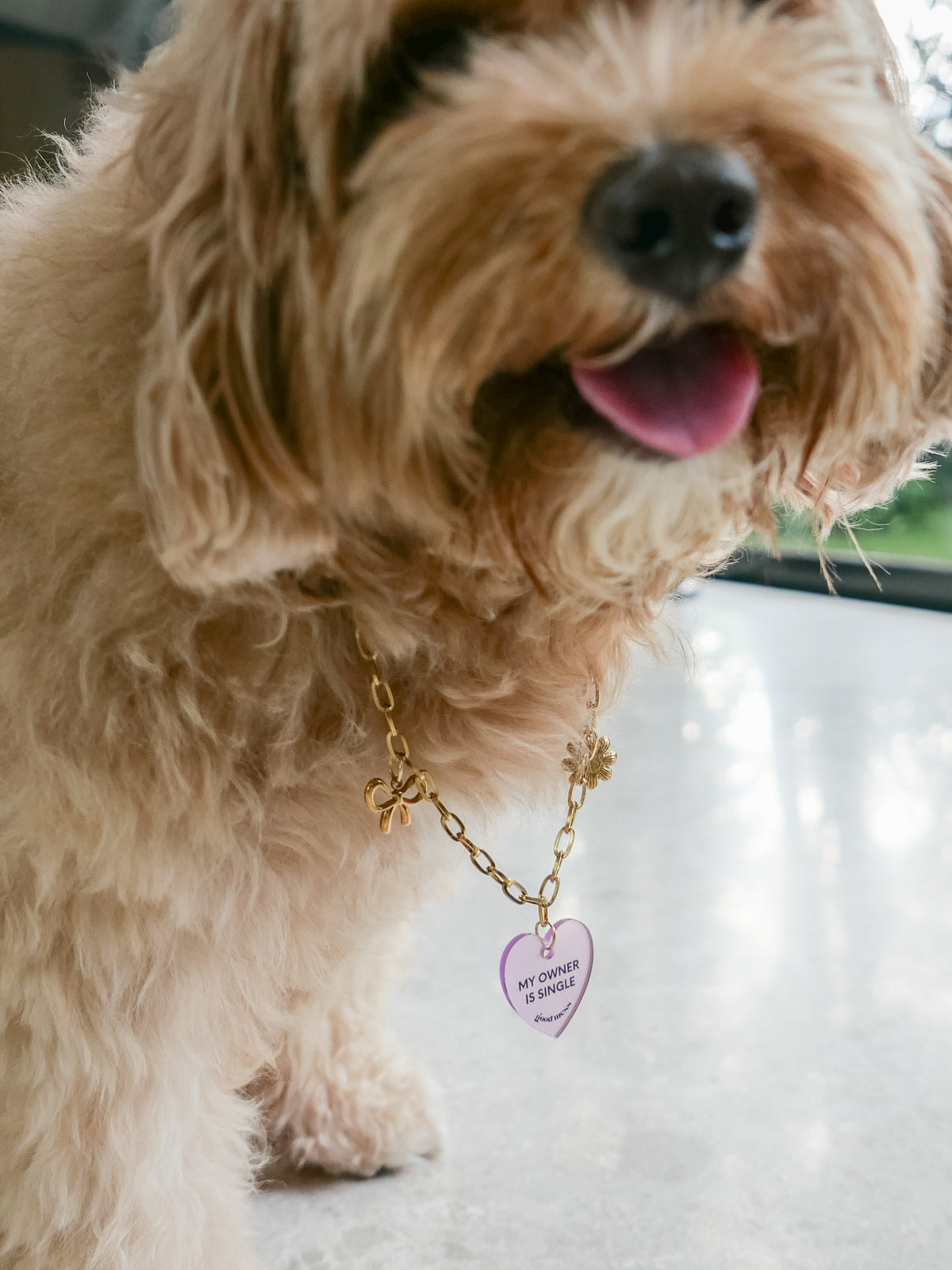 Walkies Charm Necklace