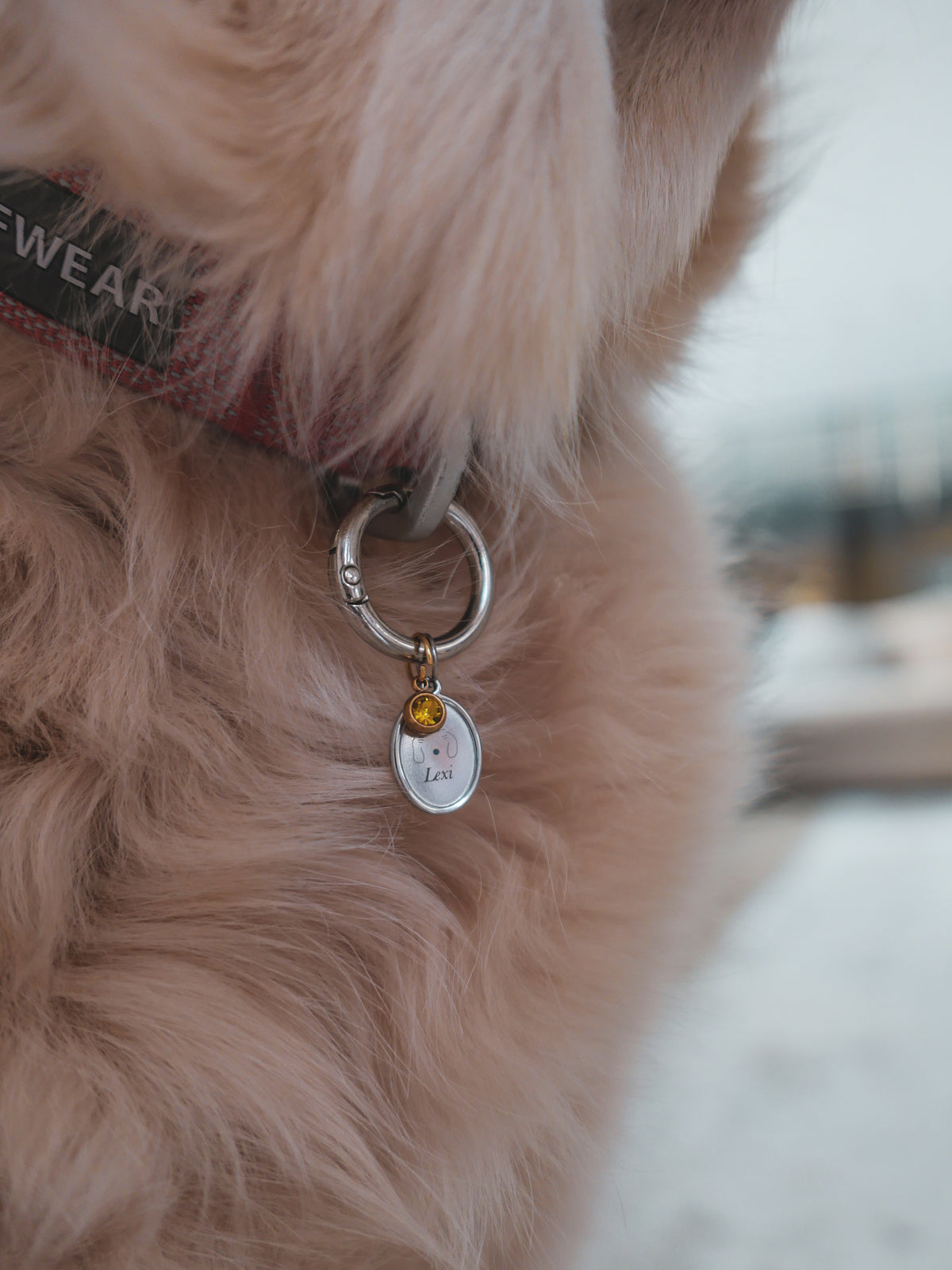 Engraveable Pet Collar Tag
