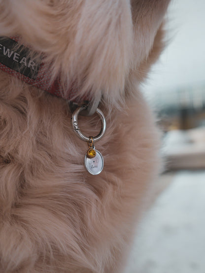 Engraveable Pet Collar Tag
