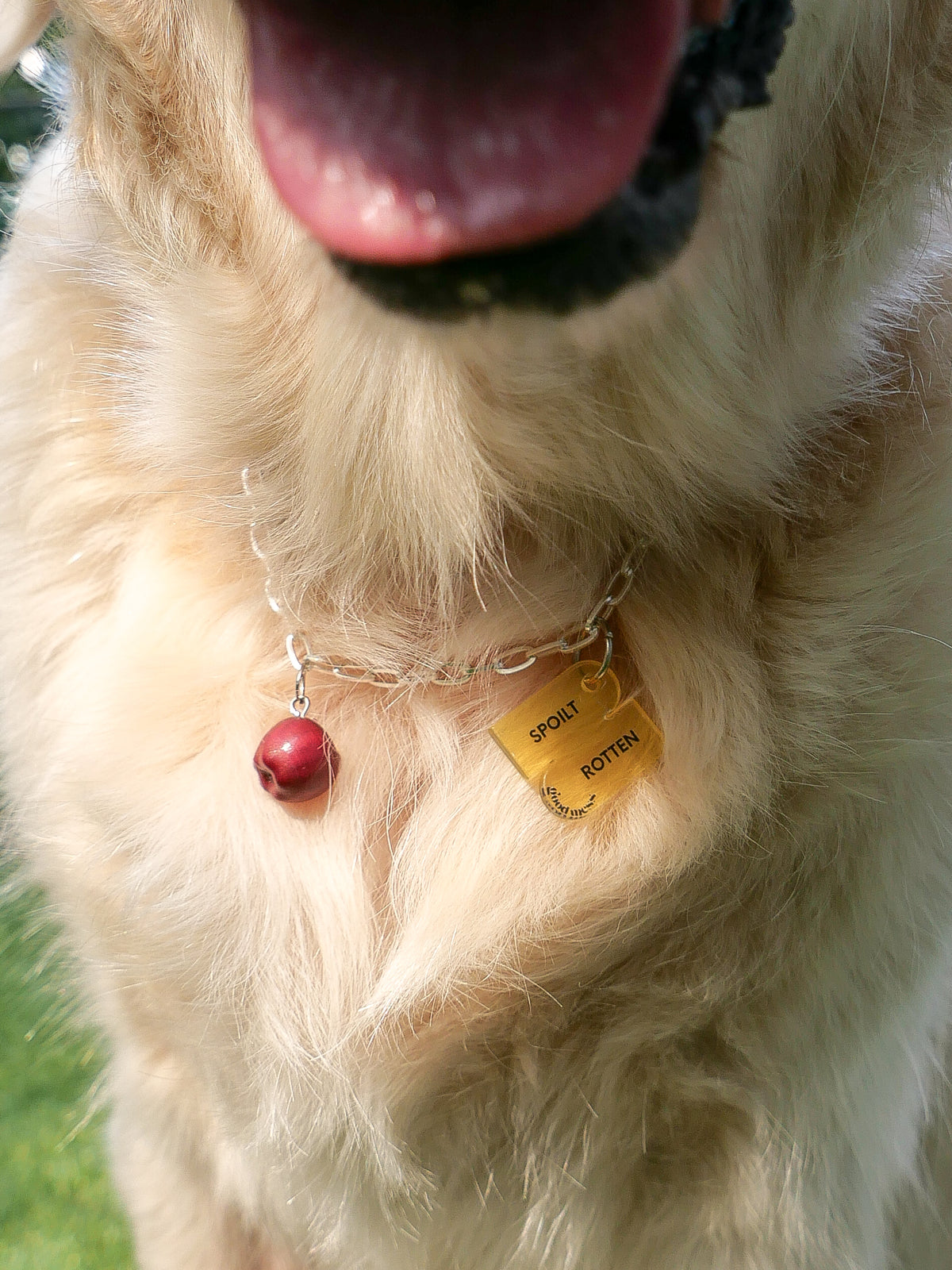 Walkies Charm Necklace
