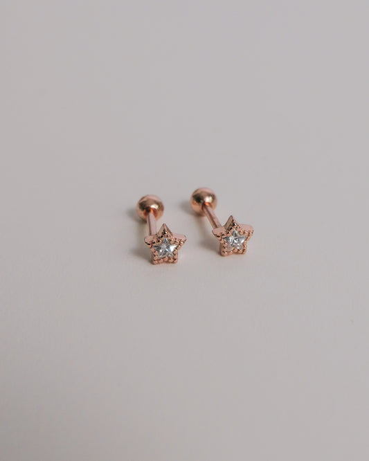 Starr Screw Back Ear Studs