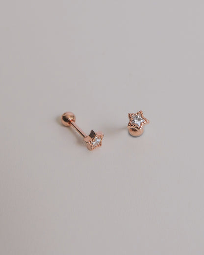 Starr Screw Back Ear Studs